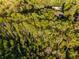 Lush aerial view of expansive tree coverage and homes nestled among the green canopy at 6050 Providence Ln, Cumming, GA 30040