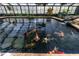 Unique indoor pond with colorful koi fish swimming in dark water, accented by surrounding greenery at 6050 Providence Ln, Cumming, GA 30040