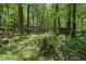 Backyard shed on a wooded lot with mature trees at 3988 Dover Ave, Alpharetta, GA 30009