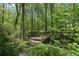 Foot bridge crossing a creek in wooded backyard at 3988 Dover Ave, Alpharetta, GA 30009