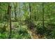 Foot bridge in wooded backyard with running creek at 3988 Dover Ave, Alpharetta, GA 30009