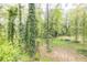 Lush backyard with mature trees, trampoline and ample space for recreation at 1972 Tanglewood Dr, Snellville, GA 30078