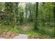 A serene backyard with trees and a trampoline adds to the charm at 1972 Tanglewood Dr, Snellville, GA 30078