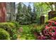 Lush backyard garden with green grass and colorful pink azaleas at 1061 Arbor Ne Trce, Atlanta, GA 30319