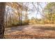 View of wooded land with a driveway leading through the trees at 98 Almon Church Rd, Covington, GA 30014