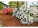Picturesque garden featuring a vibrant display of red and white azalea bushes at 914 Denmeade Sw Walk, Marietta, GA 30064
