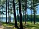Scenic lake view through tall trees, with picnic benches on the grassy shore at 5400 Kings Camp Cabin 16 Se Rd, Acworth, GA 30102