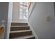 Carpeted stairs feature a window at the top, providing natural light and a view of the outside at 5713 Brynwood Nw Cir, Acworth, GA 30101