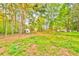 Large, open backyard with mature trees, a grassy area, and a small outbuilding for additional storage at 622 Jockey Ln, Auburn, GA 30011