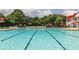 Large swimming pool showcasing ample lounge chairs, red umbrellas, and expansive backyard with plenty of seating at 679 Egrets Landing Lot 57, Covington, GA 30014