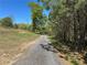 Gravel driveway leading through lush greenery and mature trees on a sunny day at 5026 Daniel Mill Rd, Winston, GA 30187