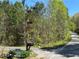 Roadside view of mailboxes and for sale sign on property surrounded by mature trees and lush greenery at 5026 Daniel Mill Rd, Winston, GA 30187