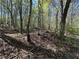Lush property with mature trees and undergrowth and fallen leaves on a sunny day at 5026 Daniel Mill Rd, Winston, GA 30187