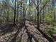 Beautiful property with mature trees and lush greenery on a sunny day at 5026 Daniel Mill Rd, Winston, GA 30187