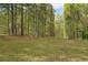 Large green yard with trees in the background at 5026 Daniel Mill Rd, Winston, GA 30187