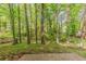 An expansive green yard with mature trees offering plenty of privacy and natural beauty at 5307 Jay Nw Way, Lilburn, GA 30047