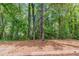 Lush trees in a large backyard at 6205 Leverett Dr, Lithonia, GA 30038
