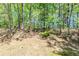 Spacious backyard with mature trees provides natural shade, creating a serene and private outdoor oasis at 1665 Dunbarton Dr, Lithonia, GA 30058