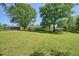 Expansive backyard featuring a lush lawn and mature trees, perfect for outdoor activities at 1214 Marshall Fuller Rd, Dallas, GA 30157