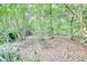 The wooded backyard featuring several gardens and lush greenery at 1660 Weems Rd, Locust Grove, GA 30248