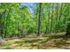 Large, lush backyard with mature trees and greenery at 2352 Rockwood Way, Stone Mountain, GA 30087