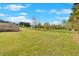 Expansive backyard featuring an oversized green lawn, perfect for outdoor activities and gatherings at 40 L Z Jackson Road, Bowdon, GA 30108