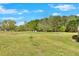 View of the expansive backyard featuring mature trees, a fire pit, and plenty of space for outdoor enjoyment at 40 L Z Jackson Road, Bowdon, GA 30108
