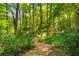 Wood chip backyard path with wooden steps, offering natural beauty and a peaceful retreat at 1157 Hancock Ne Dr, Atlanta, GA 30306