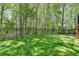 Expansive backyard featuring lush lawn, bordered by wrought iron fence and mature trees for ultimate privacy at 125 Stoney Ridge Dr, Alpharetta, GA 30022
