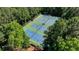 Aerial view of the community tennis courts surrounded by tall, shady trees at 125 Stoney Ridge Dr, Alpharetta, GA 30022