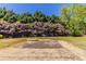 A grass covered backyard with mature trees and privacy hedges at 498 Haven Ridge Dr, Stockbridge, GA 30281