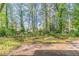 Large backyard with grass, trees and plenty of space at 2345 Leith Ave, Atlanta, GA 30344