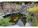 Backyard koi pond with multiple colorful fish, rock decorations, and waterfall feature at 552 Warrenton Run Dr, Sugar Hill, GA 30518