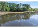 Scenic view of the pond reflecting trees and the sky, providing a tranquil natural backdrop at 1035 Bridle Path Dr, Lawrenceville, GA 30045