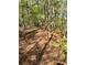 Secluded wooded backyard with lots of nature at 999 Grassdale Rd, Cartersville, GA 30121