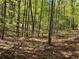 Natural wooded backyard with mature trees and abundant sunlight at 999 Grassdale Rd, Cartersville, GA 30121