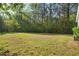 Lush backyard with abundant greenery, offering privacy and a natural setting for outdoor enjoyment at 280 Old Carrollton Rd, Carrollton, GA 30116