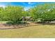 Beautifully landscaped yard with large trees, creating a serene and inviting atmosphere around the brick home at 4309 Milford Pl, Hoschton, GA 30548