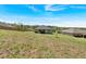 Spacious backyard showcasing a lush lawn, offering privacy and potential for landscaping at 173 Bramlett Ridge Dr, Dallas, GA 30157