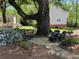 A relaxing backyard seating area, landscaped with a large tree swing and a bench at 510 Birch Ridge Ct, Roswell, GA 30076