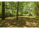 Green grass and trees comprise this spacious backyard at 1740 Fairbanks Sw St, Atlanta, GA 30310