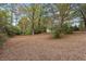 Lush backyard setting with mature trees and plenty of space for outdoor activities and gardening at 3024 Bob Cox Rd, Marietta, GA 30064