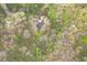 Scenic aerial view of a house surrounded by a lush, green forest at 18 Crolley Ln, White, GA 30184
