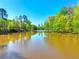 Sun reflecting off tranquil pond surrounded by greenery under a clear blue sky, a peaceful retreat at 377 Lakeview Dr, Newborn, GA 30056