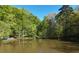 View of a calm pond, surrounded by lush green trees and foliage, enhancing the property's natural beauty at 377 Lakeview Dr, Newborn, GA 30056
