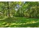 Open backyard with a large expanse of grass and trees, providing ample space for outdoor activities at 6703 Cameron Rd, Morrow, GA 30260