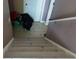 View looking down the stairs with a door at the bottom at 4175 Round Stone Dr, Snellville, GA 30039