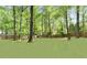 Beautiful, lush backyard with a well-maintained lawn, mature trees, and a privacy fence at 230 Summerfield Dr, Alpharetta, GA 30022