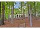 Stately home with a sprawling backyard, surrounded by mature trees and professional landscaping at 960 Tiverton Ln, Alpharetta, GA 30022
