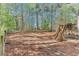 Spacious backyard with a wooden deck, wooden stairs, and a lush backdrop of mature trees and fencing at 3918 Windgrove Xing, Suwanee, GA 30024